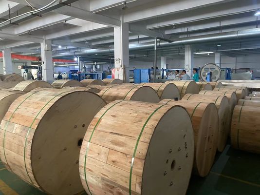 Ceny fabryczne ADSS Span 100M Kabel światłowodowy 48 rdzenia G652D Kabel światłowodowy