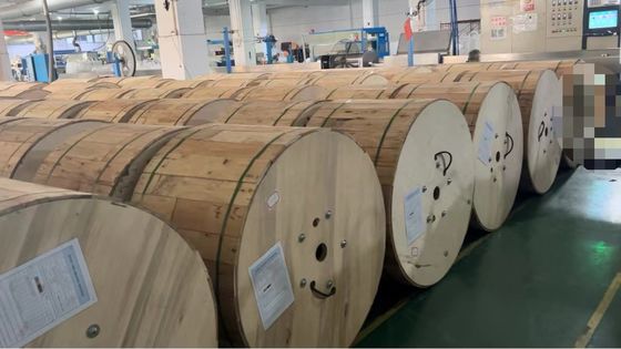 12 24 Rdzeń pojedynczy pancerz podwójne kurtki ognioodporne MGTSV Kabel światłowodowy górniczy