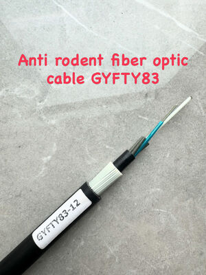 GYFTY83 Przeciwgaźnik FRP z opancerzonym elementem 12 24 48Core Kabel światłowodowy