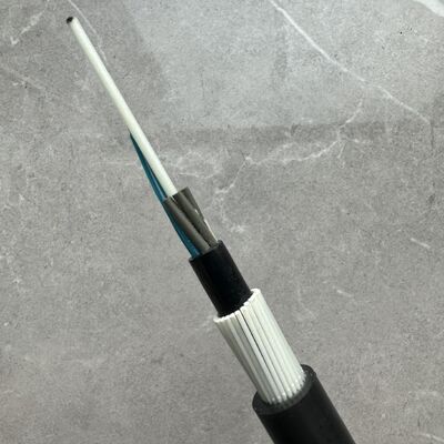 GYFTY83 Przeciwgaźnik FRP z opancerzonym elementem 12 24 48Core Kabel światłowodowy