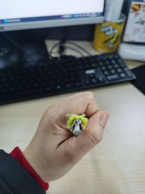 Jednomodowy 24-żyłowy kabel komunikacyjny ADSS, cały dielektryczny kabel światłowodowy